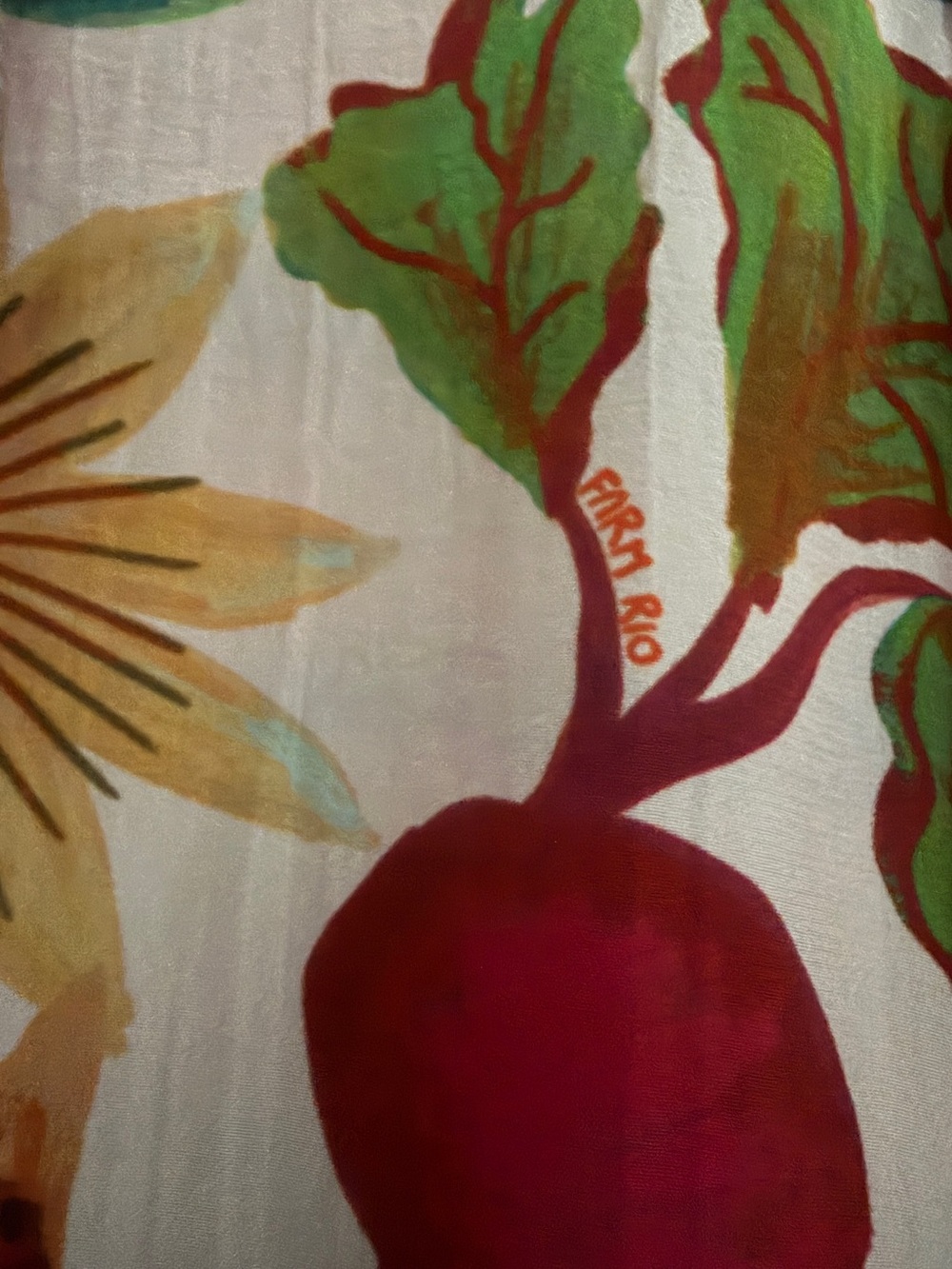 FARM Rio Multicolor Botanical Silk Button-Up - Picture 3 of 5